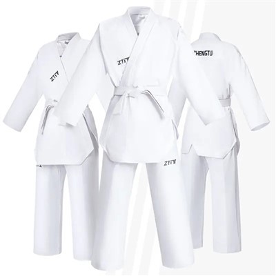 What are the differences between Taekwondo and Karate?